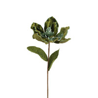 Magnolia Stem Olive 61cm
