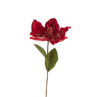 Magnolia Stem Red 61cm