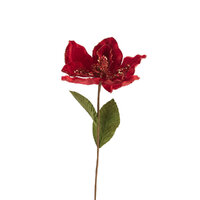 Magnolia Stem Red 61cm