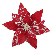 Poinsettia Red White Veins Clip On 36cm