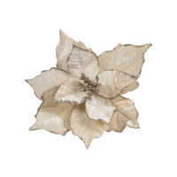 Poinsettia Dark Cream Clip On 25cm