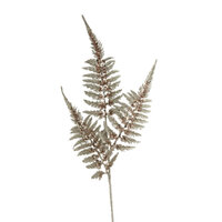 Beaded Fern Spray Champagne 94cm