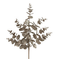 Champagne Eucalyptus Spray 61cm