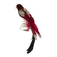 Burgundy Parrot Tree Topper 19cm