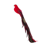 Red Elegant Peacock Clip