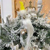 Bert the Cockatoo 25cm