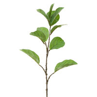 Leaf Ficus Spray Green
