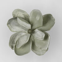 Grandiflora Velvet Magnolia Flower Green