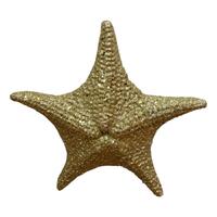 Champagne Starfish 30cm