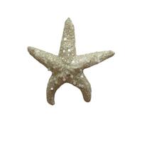 Starfish Ivory 11cm