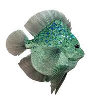 Fish Teal 20cm
