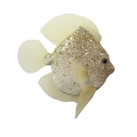 Fish Champagne 20cm
