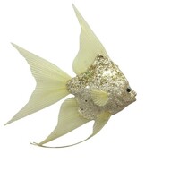 Fish Champagne 18cm