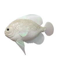 Fish Ivory 30cm