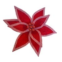 Red White Poinsettia 30cm
