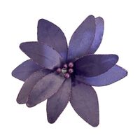 Lilac Poinsettia 31cm