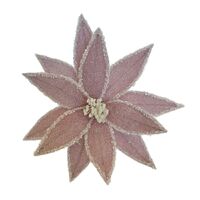 Pink Iced Poinsettia 32cm