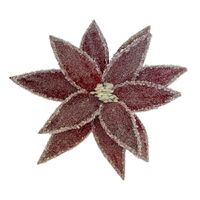 Red Iced Poinsettia 32cm