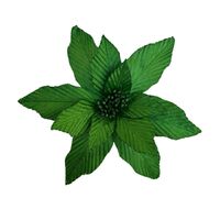 Green Poinsettia 31cm