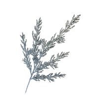 Silver Leaf Spray 84cm