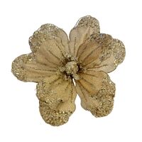 Champagne Poinsettia 40cm
