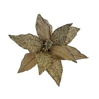 Champagne Poinsettia 40cm