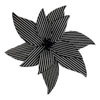 Black White Poinsettia 45cm