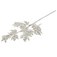 Cedar Spray Champagne 71cm