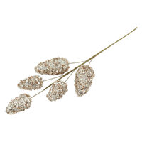 5 Cone Spray Champagne 58cm