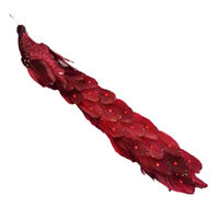 Long Tail Peacock Red 37cm