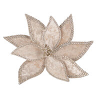 Braid Edge Poinsettia Champagne Gold 23cm