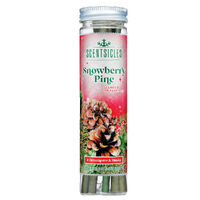 Scentsicles Snowberry Pine 13cm