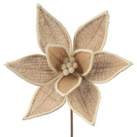 Burlap Poinsettia w. Ivory Trim 28cm