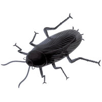 Giant Cockroach Halloween Prop 22cm
