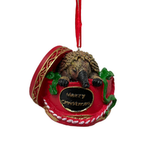 Echidna-Red Giftbox Deco 6cm
