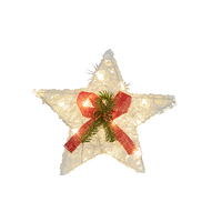 LED White Star 30cm