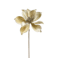 Magnolia Stem Cream 60cm