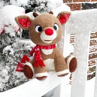 Rudolph Plush 20cm