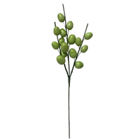 Egg Pick Green 42cm