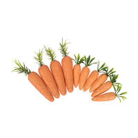 Foam Carrots Assorted 