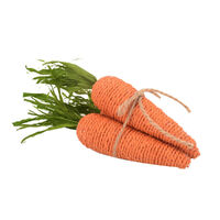 Carrot 3pc 20cm
