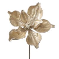 Iced Champagne Magnolia Stem 61cm