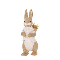 Mr Daisy w/ Carrots 39cm