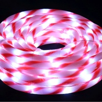 LED Candy Ropelight 10m
