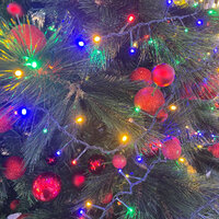 Premier 500 LED Tree String Lights Multicolour 