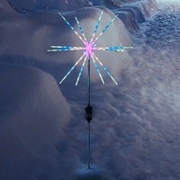 Starburst Solar Stake Light Multicolour