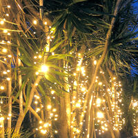 Firecracker Lights WARM WHITE 10m