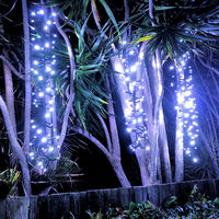 Firecracker Lights COOL WHITE 10m