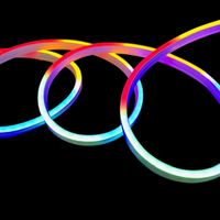 Neon LED Strip Light Multicolour 10m