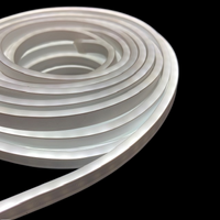 Neon LED Strip Light White 10m